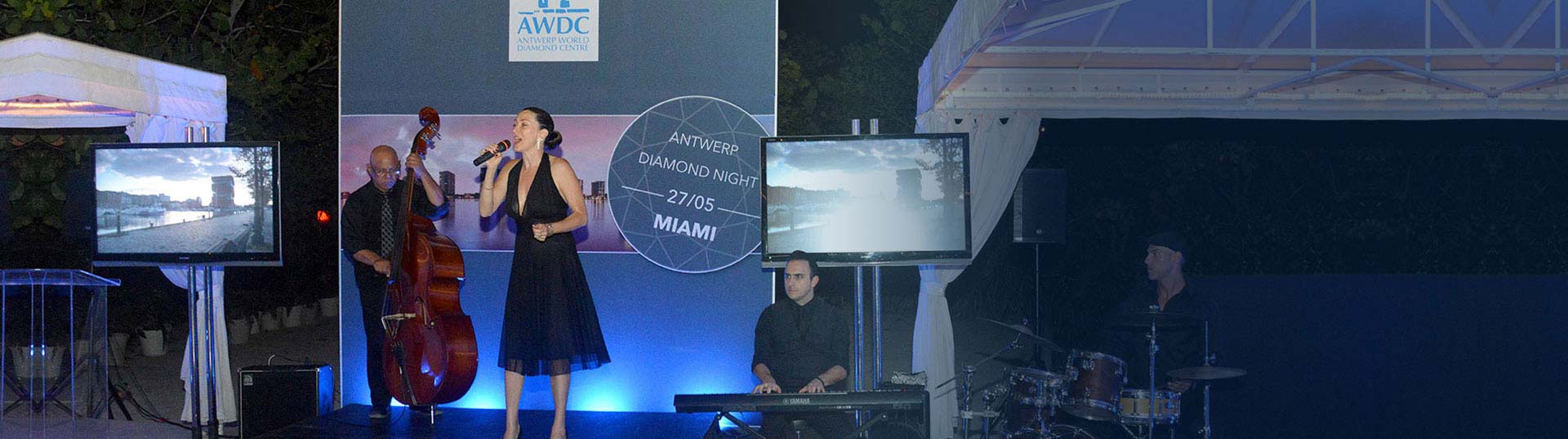 Live Musical Entertainment at NYC Event